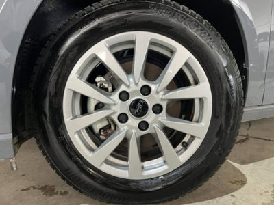 Ford Tourneo Connect 2.0 EcoBlue 102 CV Plus (8)