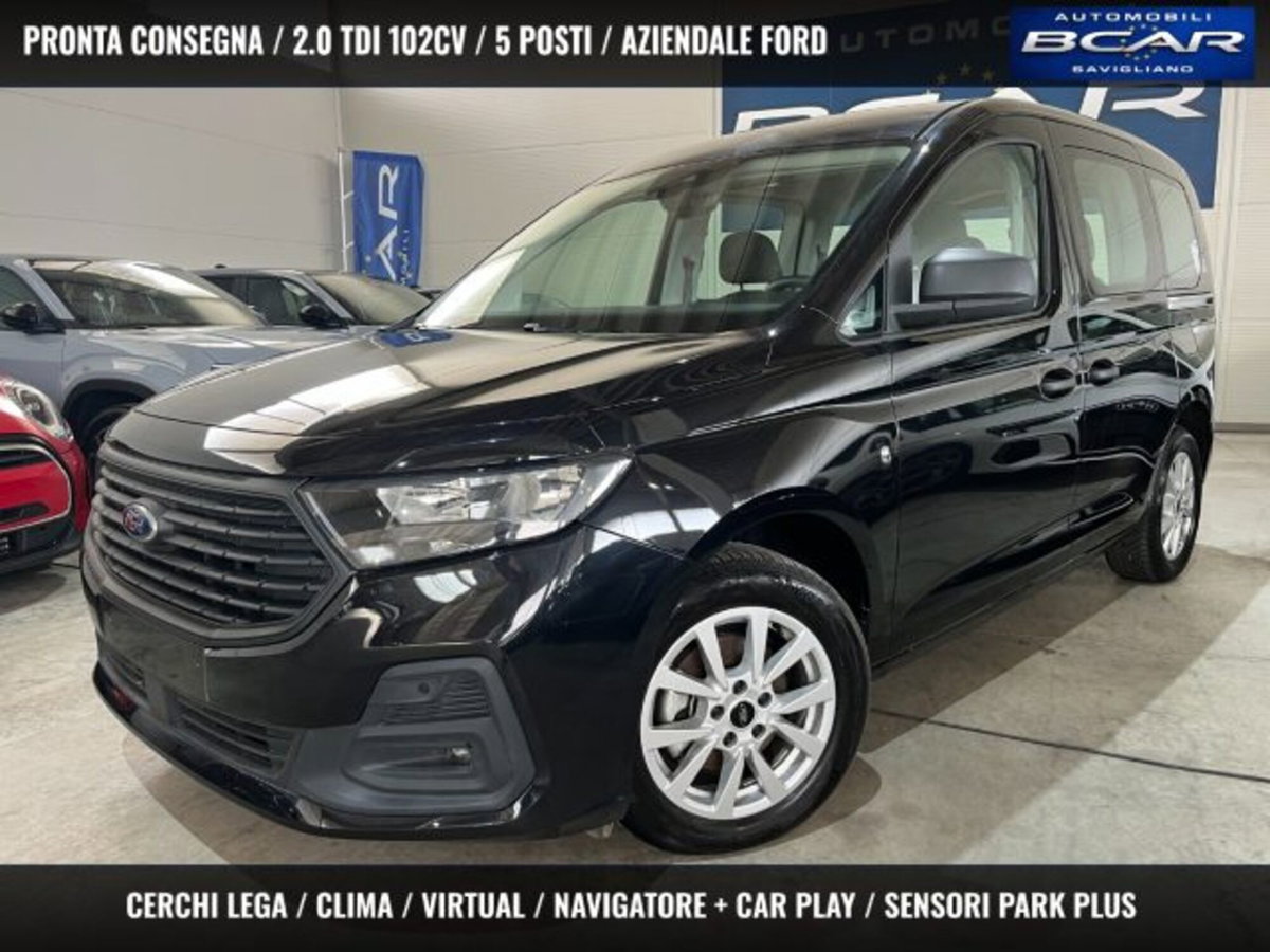 Ford Tourneo Connect 2.0 EcoBlue 102 CV Plus