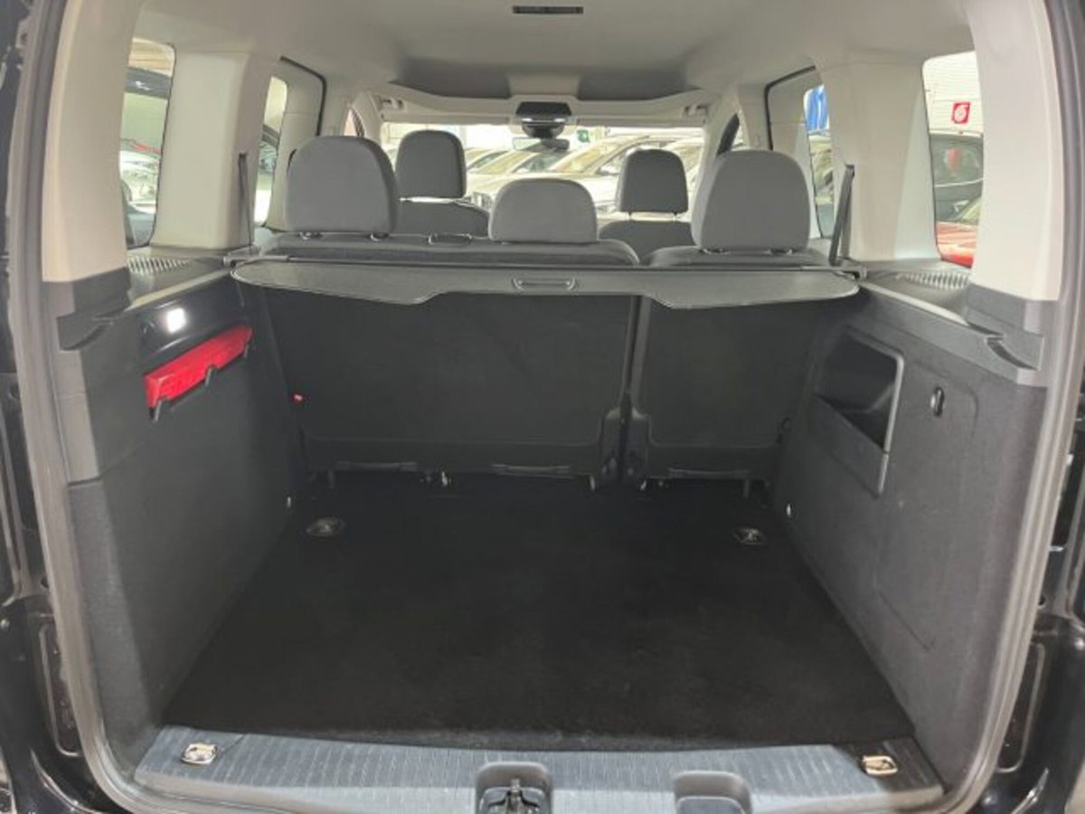 Ford Tourneo Connect 2.0 EcoBlue 102 CV Plus (18)