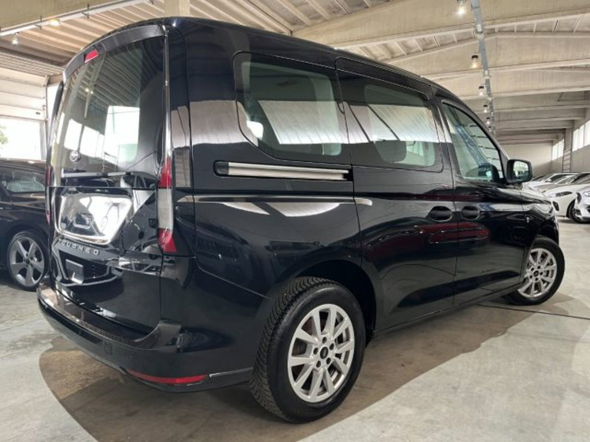 Ford Tourneo Connect 2.0 EcoBlue 102 CV Plus (7)