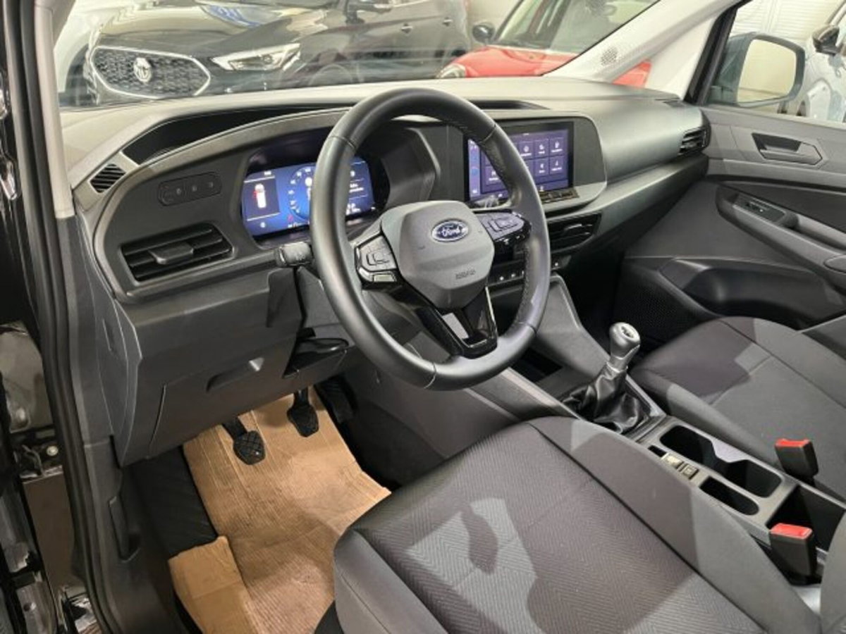 Ford Tourneo Connect 2.0 EcoBlue 102 CV Plus (9)