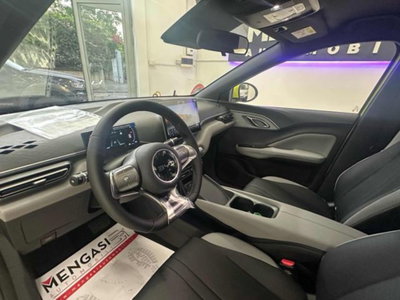 Byd Dolphin Surf 43,2 kWh Boost (13)