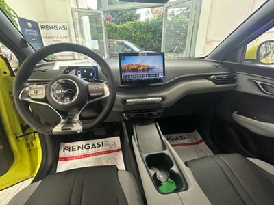 Byd Dolphin Surf 43,2 kWh Boost (14)
