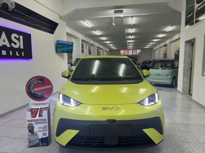 Byd Dolphin Surf 43,2 kWh Boost (2)