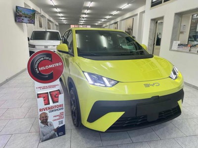 Byd Dolphin Surf 43,2 kWh Boost (3)