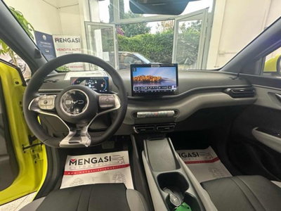 Byd Dolphin Surf 43,2 kWh Boost (9)