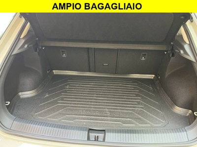 Volkswagen T-Roc 2.0 tdi Edition 115cv (11)