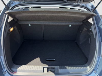 Renault Captur TCe 100 CV GPL Techno (14)