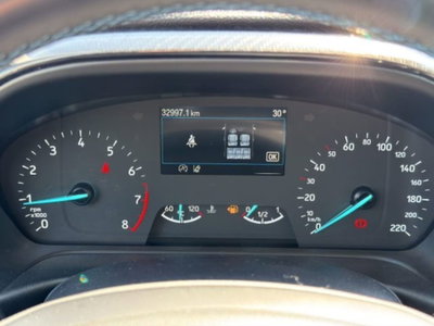 Ford Fiesta 1.0 Ecoboost Hybrid 125 CV DCT 5 porte Active (15)