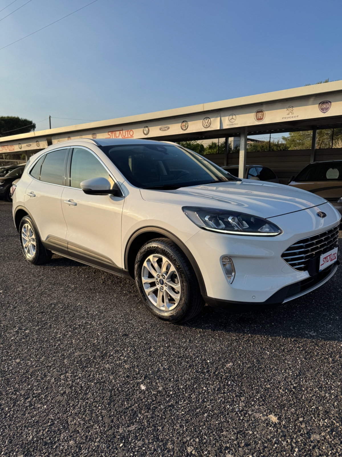 Ford Kuga 1.5 EcoBlue 120 CV 2WD Titanium (3)