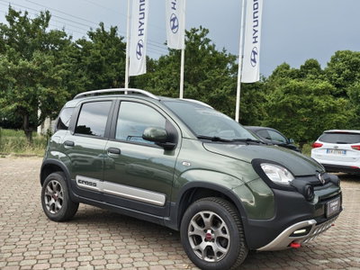Fiat Panda Cross Cross 0.9 TwinAir Turbo S&S 4x4 (3)