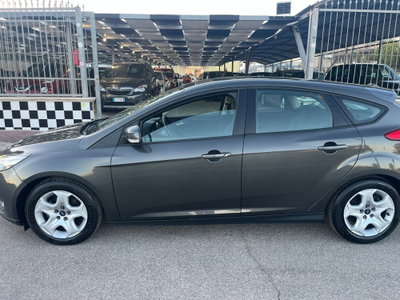 Ford Focus 1.6 120 CV GPL Plus (8)
