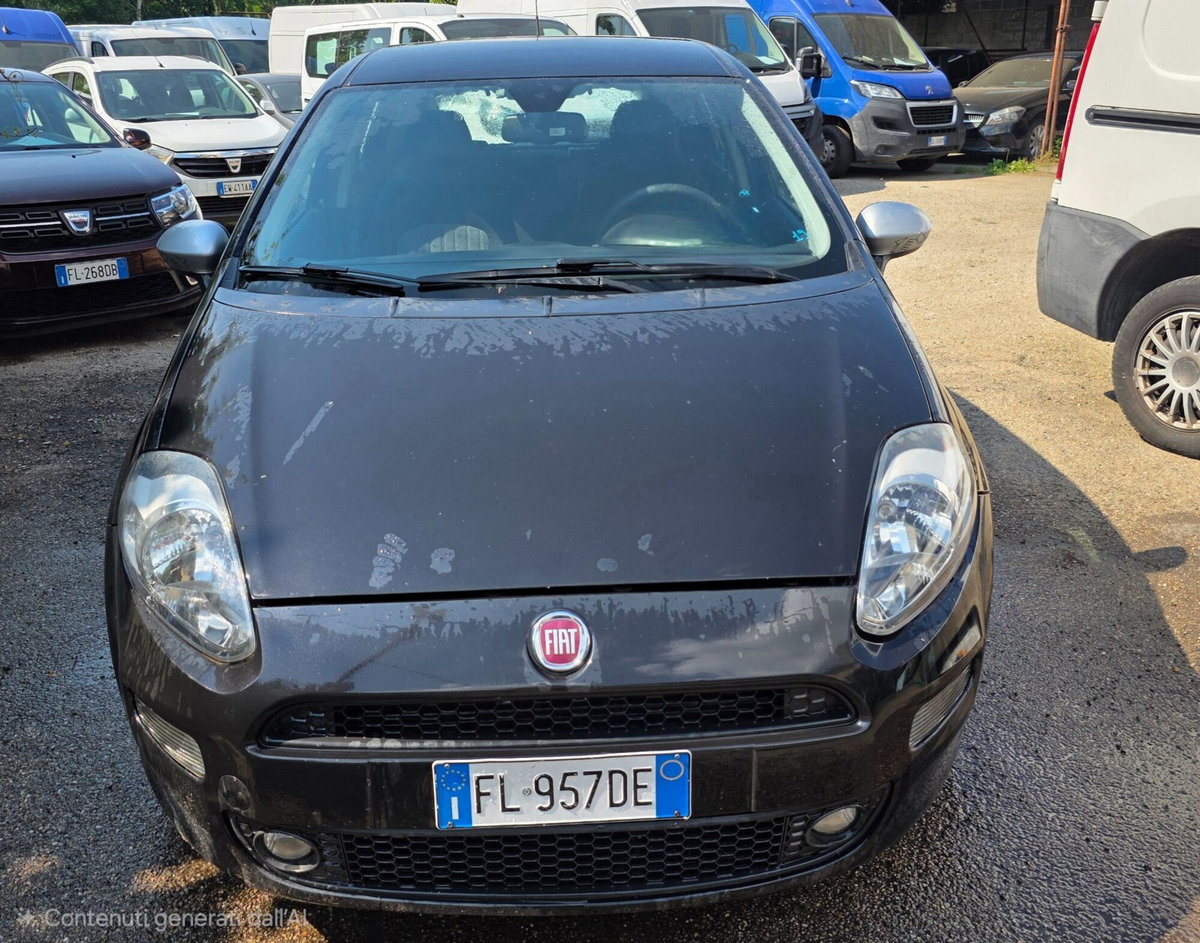 Fiat Punto 1.3 MJT II S&S 95 CV 5 porte Street (2)