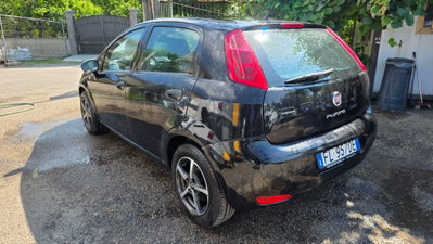 Fiat Punto 1.3 MJT II S&S 95 CV 5 porte Street (4)