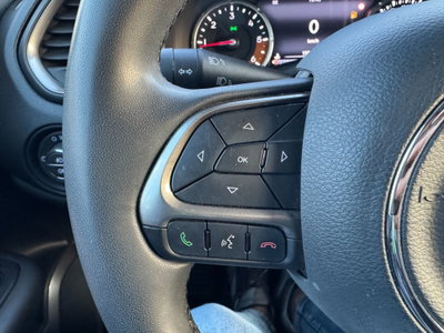 Jeep Renegade 1.6 Mjt 130 CV Limited (14)