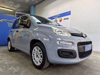 Fiat Panda 1.2 Easy usata