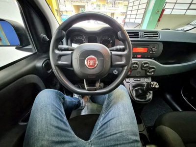 Fiat Panda 1.2 Easy (15)