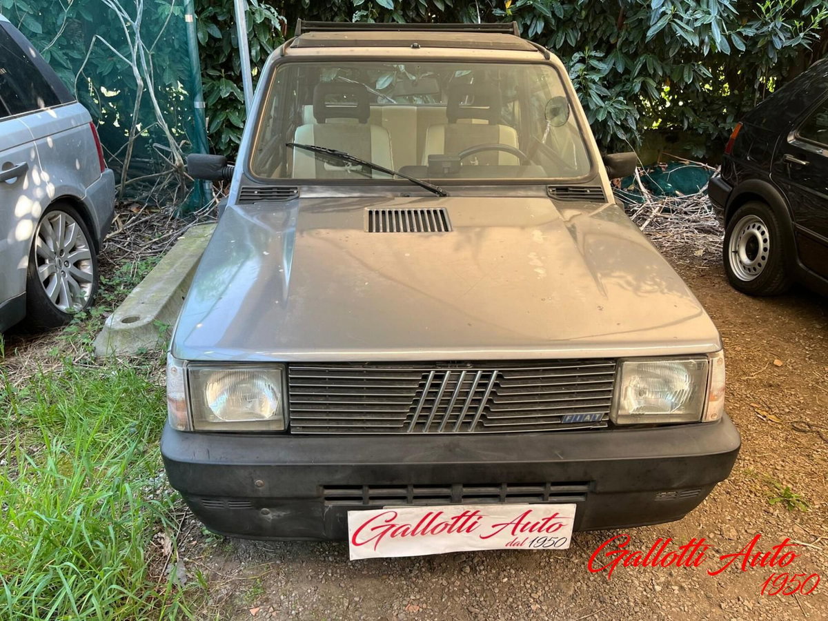 Fiat Panda 1000 4x4 (4)