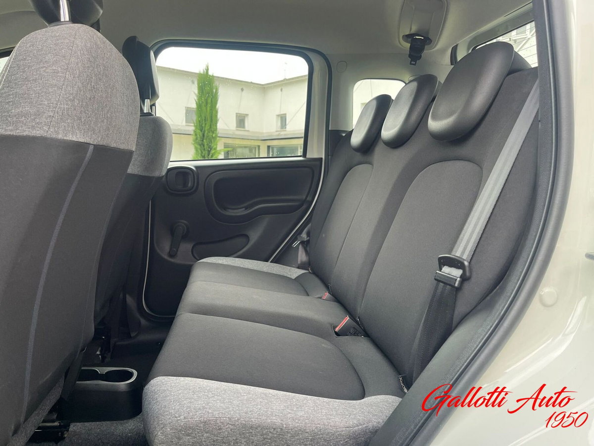 Fiat Panda Cross Cross 1.0 FireFly S&S Hybrid (14)