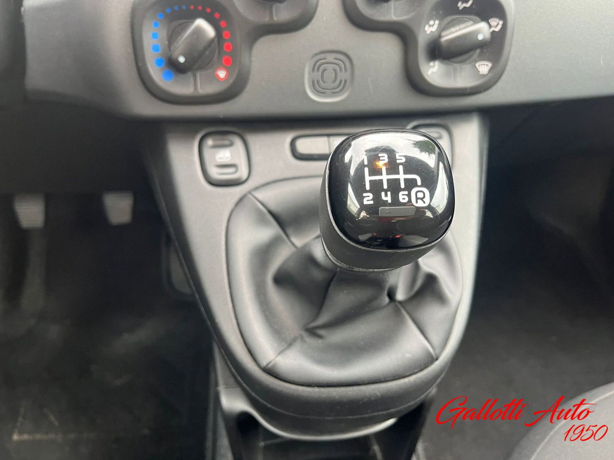 Fiat Panda Cross Cross 1.0 FireFly S&S Hybrid (19)