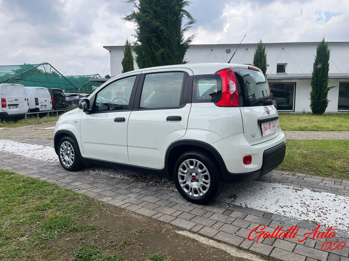 Fiat Panda Cross Cross 1.0 FireFly S&S Hybrid (2)