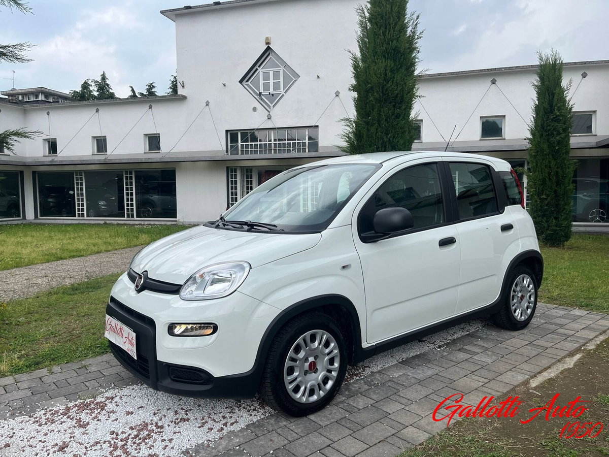 Fiat Panda Cross Cross 1.0 FireFly S&S Hybrid (3)