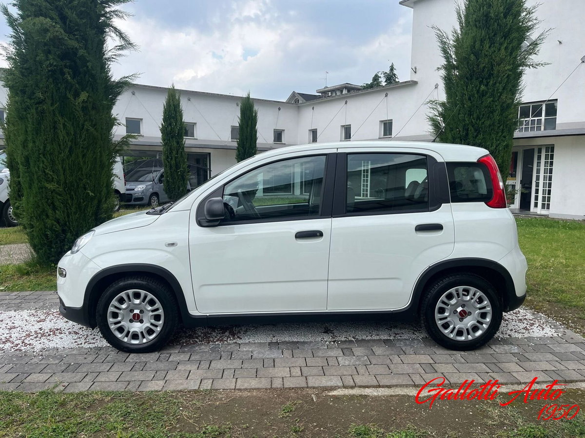 Fiat Panda Cross Cross 1.0 FireFly S&S Hybrid (4)