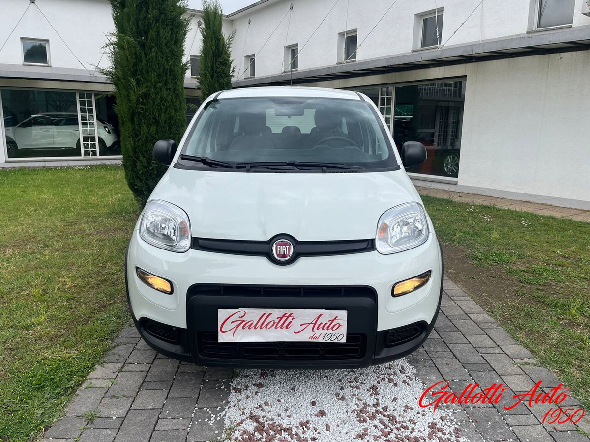 Fiat Panda Cross Cross 1.0 FireFly S&S Hybrid (5)