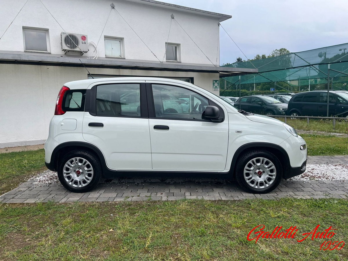 Fiat Panda Cross Cross 1.0 FireFly S&S Hybrid (6)