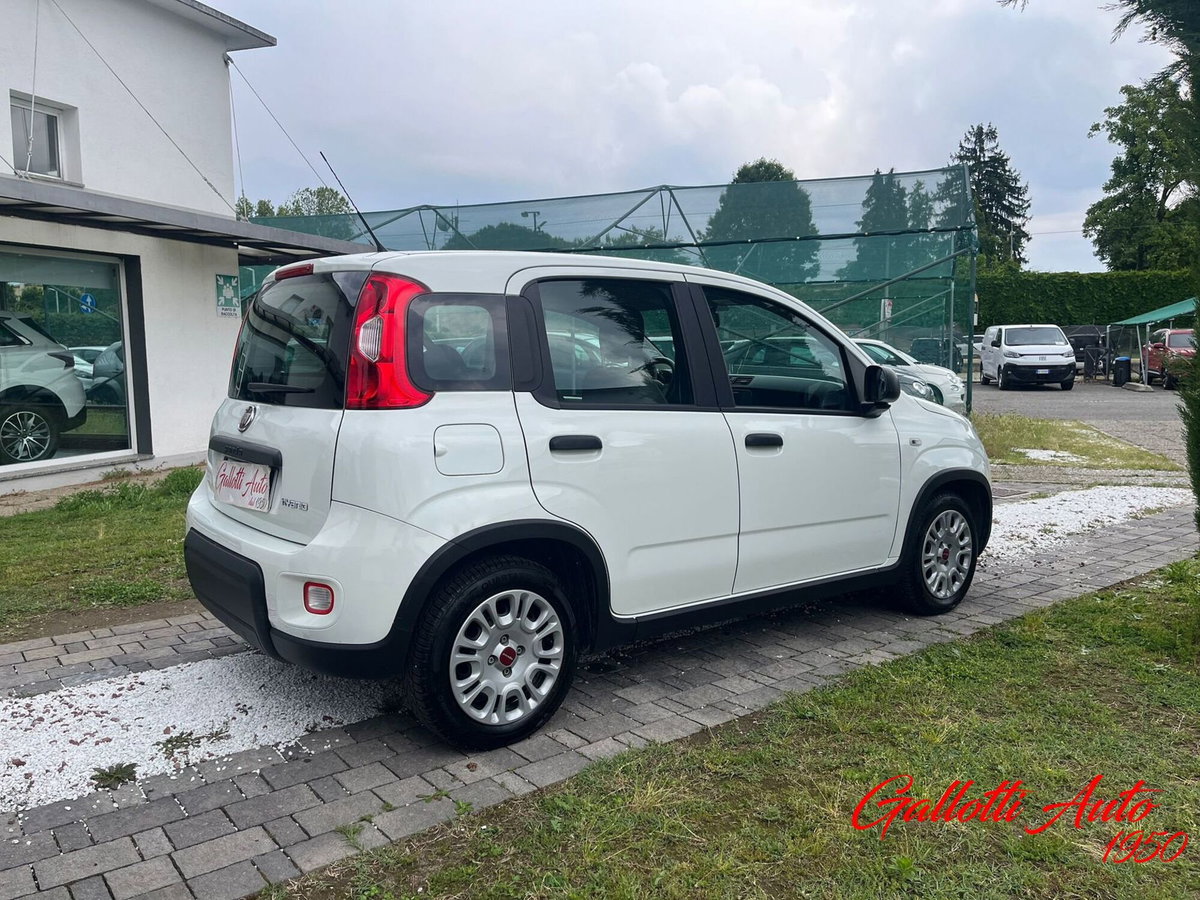 Fiat Panda Cross Cross 1.0 FireFly S&S Hybrid (7)