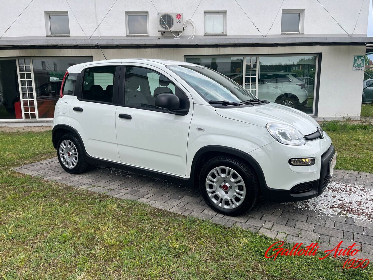 Fiat Panda Cross Cross 1.0 FireFly S&S Hybrid (8)