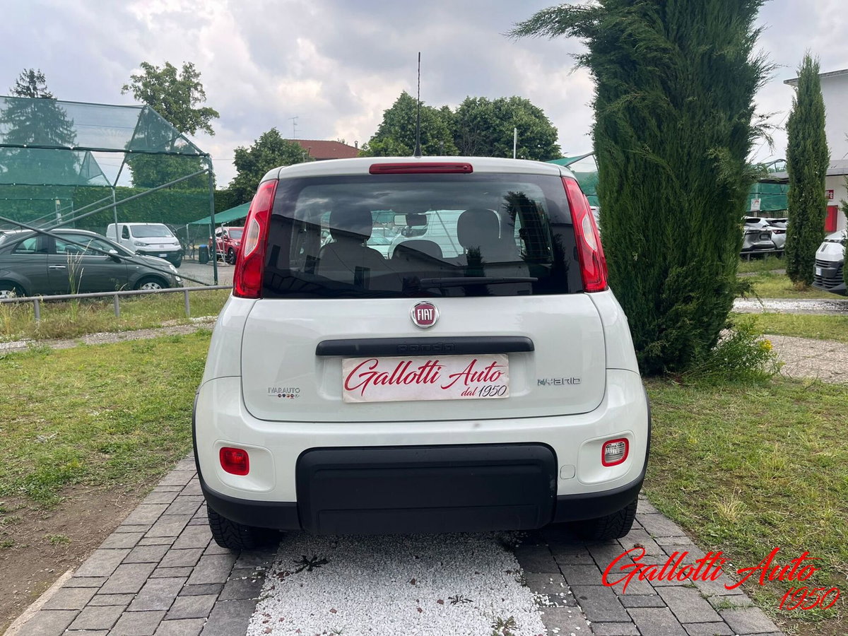 Fiat Panda Cross Cross 1.0 FireFly S&S Hybrid (9)