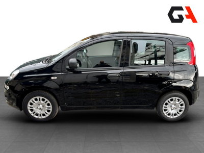 Fiat Panda Cross Cross 1.0 FireFly S&S Hybrid (8)