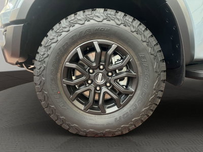 Ford Ranger Pick-up Raptor 2.0 ecoblue 210cv auto (4)