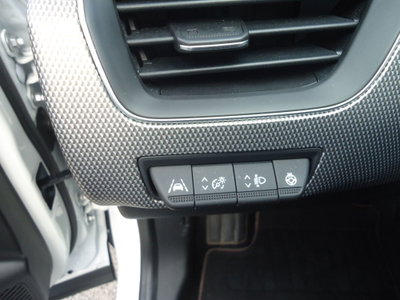 Renault Arkana 1.6 full hybrid Esprit Alpine 145cv (8)
