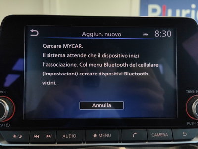 Nissan Juke 1.0 dig-t N-Connecta 114cv dct (12)