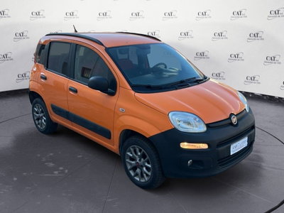 Fiat Panda 1.3 MJT 4x4 Pop Van 2 posti (3)