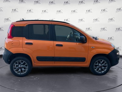 Fiat Panda 1.3 MJT 4x4 Pop Van 2 posti (4)