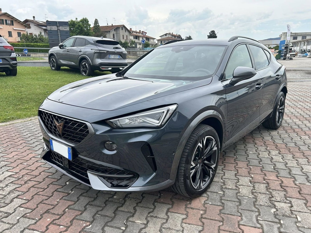 Cupra Formentor Formentor 2.0 tdi 4drive 150cv dsg