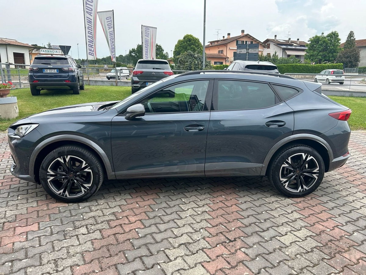 Cupra Formentor Formentor 2.0 tdi 4drive 150cv dsg (2)