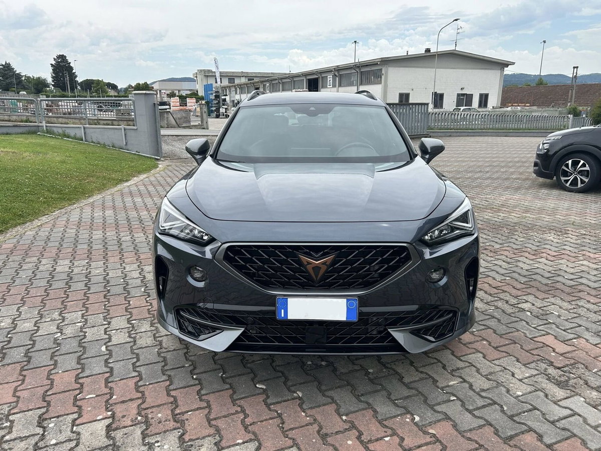 Cupra Formentor Formentor 2.0 tdi 4drive 150cv dsg (3)