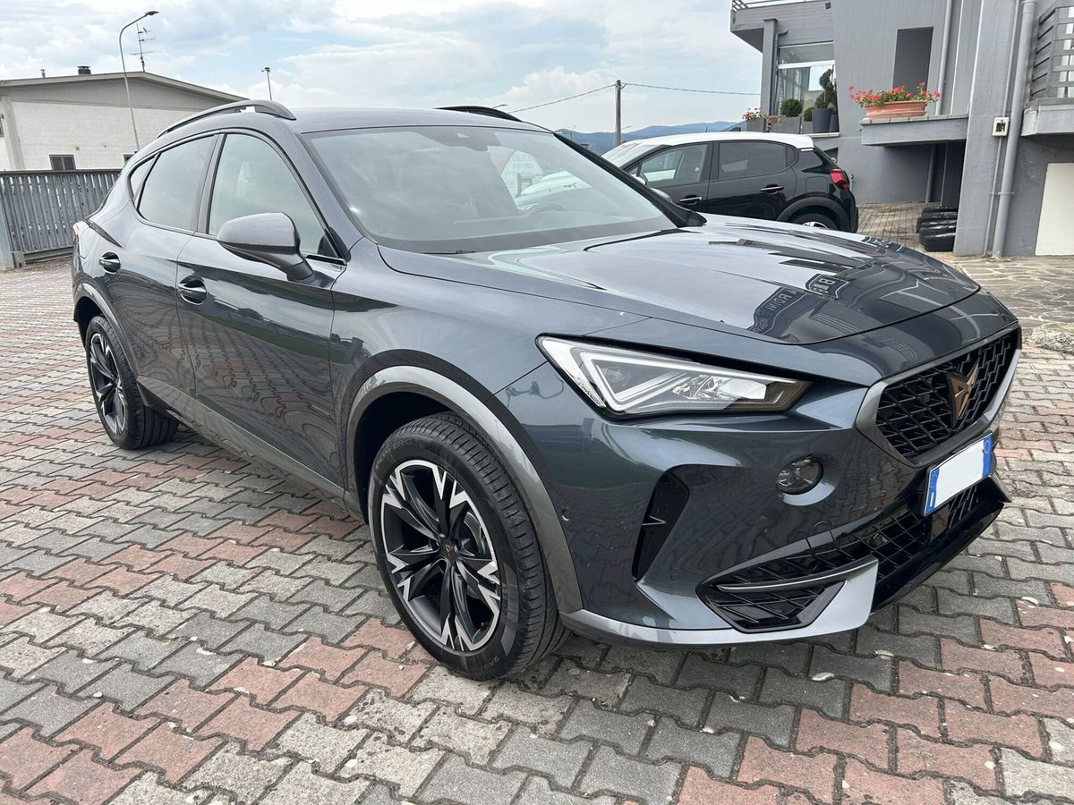 Cupra Formentor Formentor 2.0 tdi 4drive 150cv dsg (4)