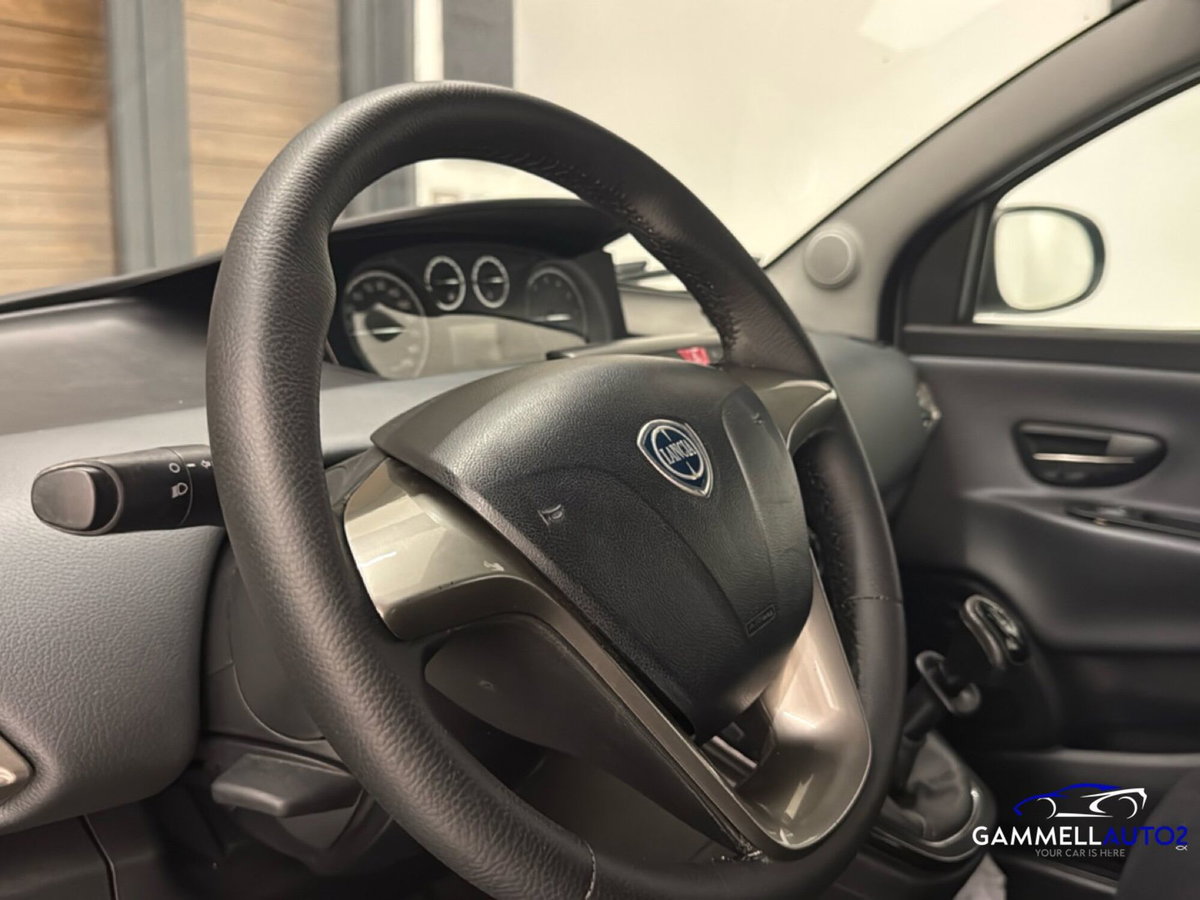 Lancia Ypsilon 1.2 69 CV 5 porte GPL Ecochic Alberta Ferretti (12)