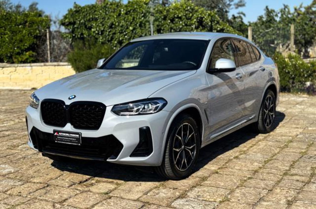BMW X4 xDrive20d 48V (15)