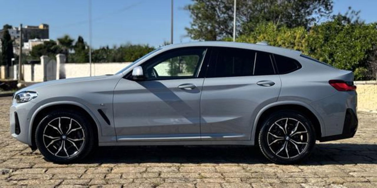 BMW X4 xDrive20d 48V (17)