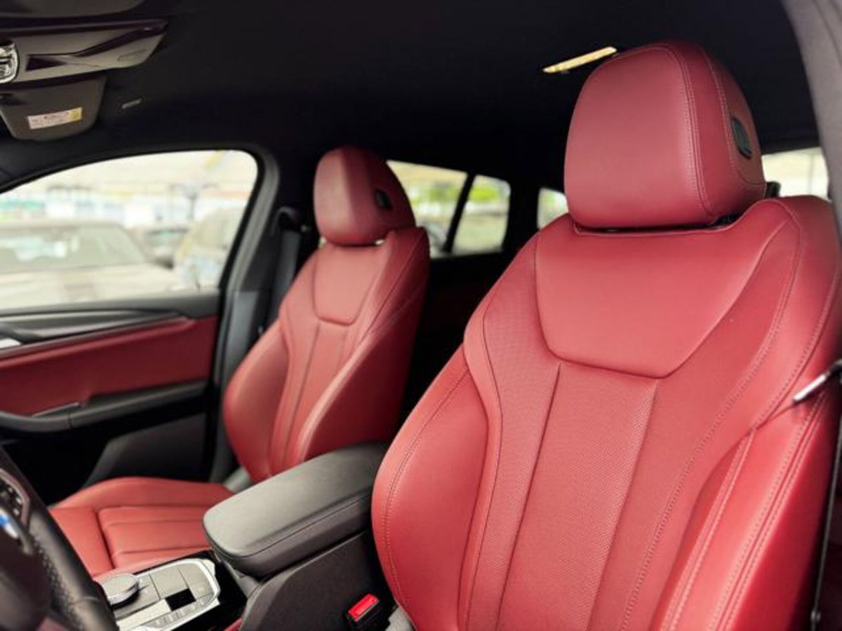 BMW X4 xDrive20d 48V (19)