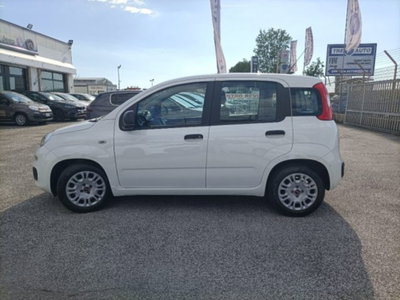 Fiat Panda 1.0 firefly hybrid s&s 70cv 5p.ti (4)