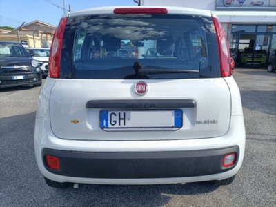 Fiat Panda 1.0 firefly hybrid s&s 70cv 5p.ti (6)