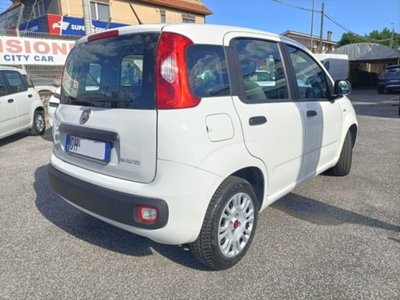 Fiat Panda 1.0 firefly hybrid s&s 70cv 5p.ti (7)