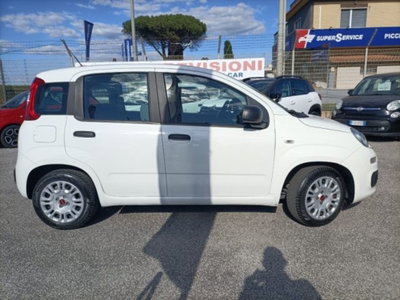 Fiat Panda 1.0 firefly hybrid s&s 70cv 5p.ti (8)